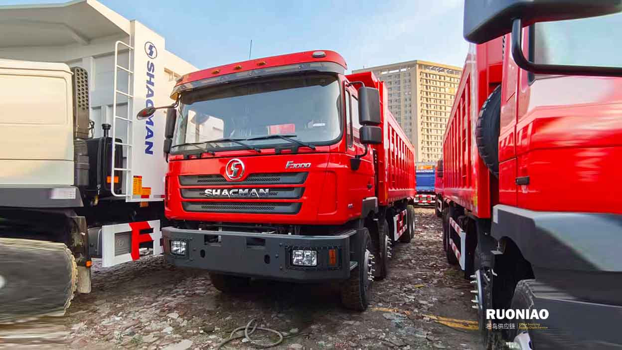 SHACMAN F3000 8×4 Volquete Minero 🇬🇳 - 3